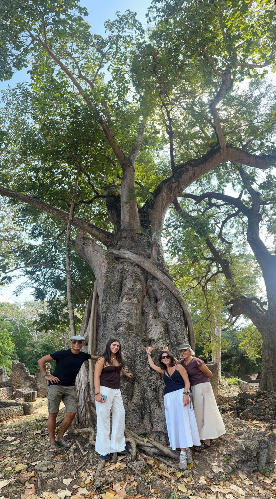 Un gruppo di viaggiatori sotto il grande albero di Gede