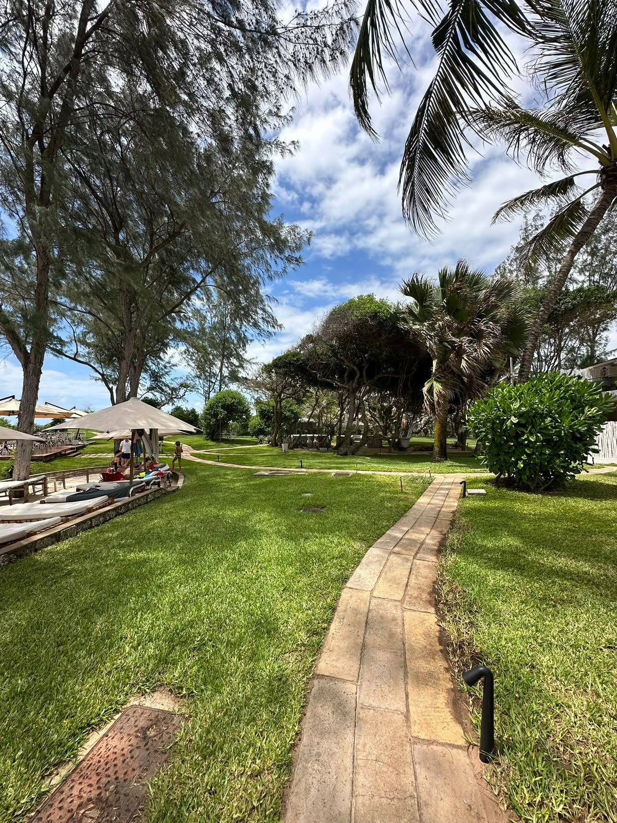 Il giardino verde che scende verso il mare