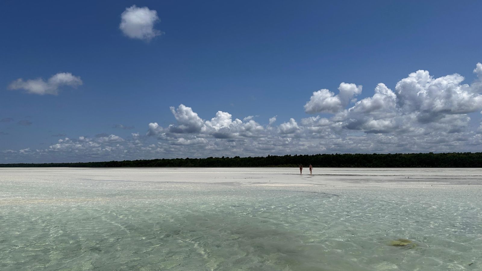 L'acqua bassa e trasparente con la bassa marea