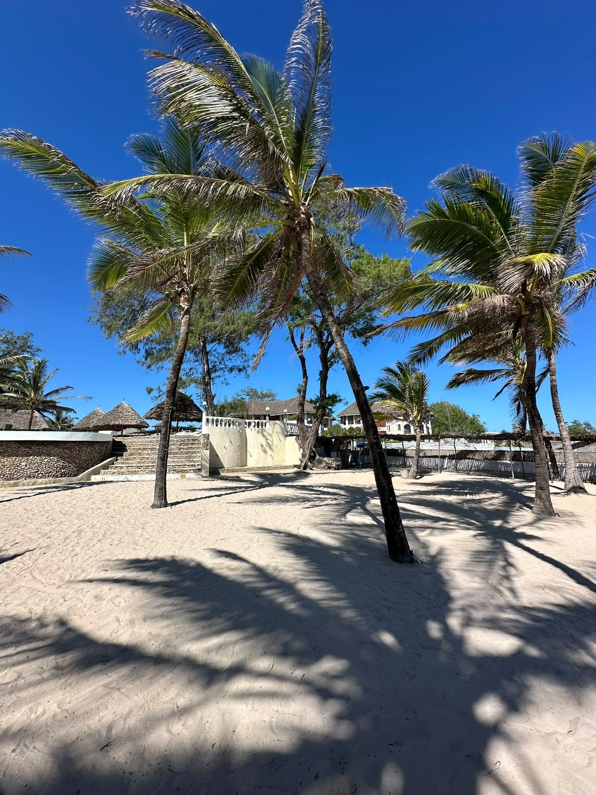 Palme sulla spiaggia di Watamu