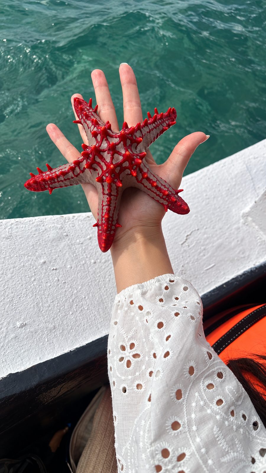 Stella marina rossa sul palmo di una mano, in barca